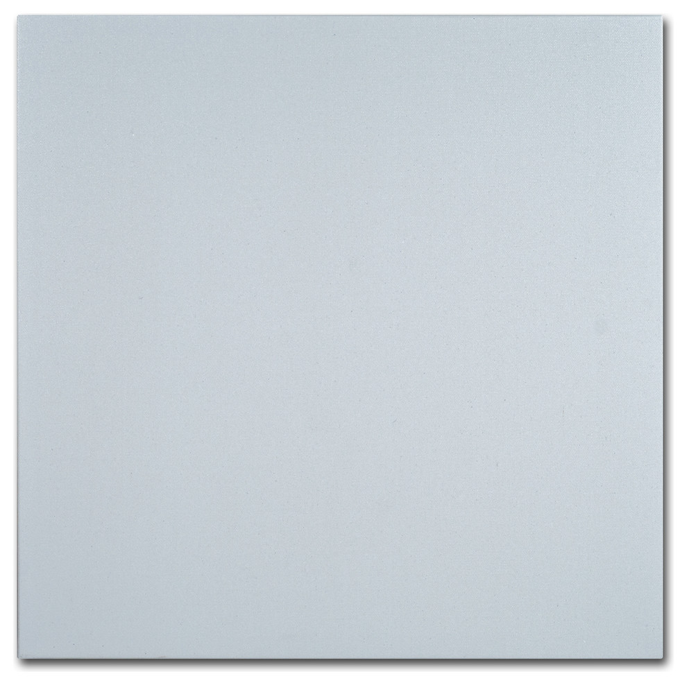Trademark Fine Art Professional Blank White Canvas on Stretcher Bars