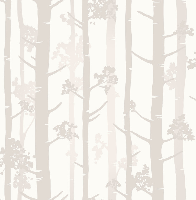 Sydow Beige Birch Tree Wallpaper Sample Contemporary By Brewster Home Fashions Houzz - Irvin Grey Birch Tree Wallpaper