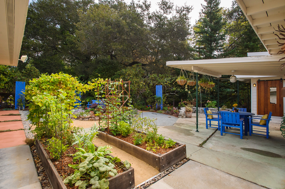 Photo of a contemporary courtyard garden in San Francisco.