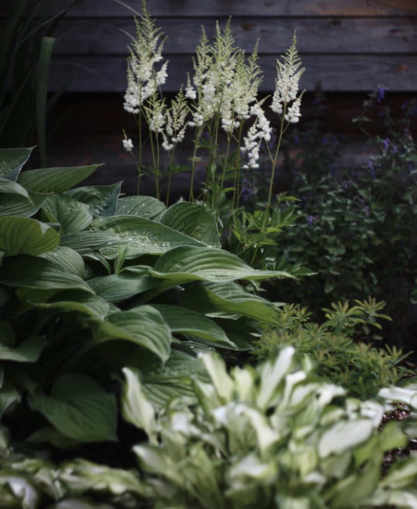 Сад с секретом