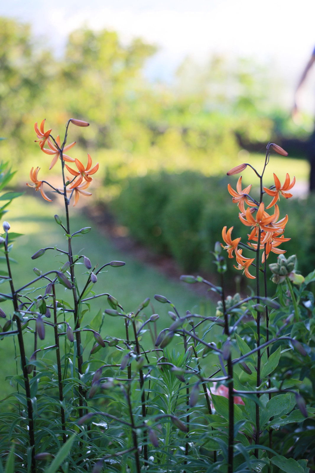 Равновесие