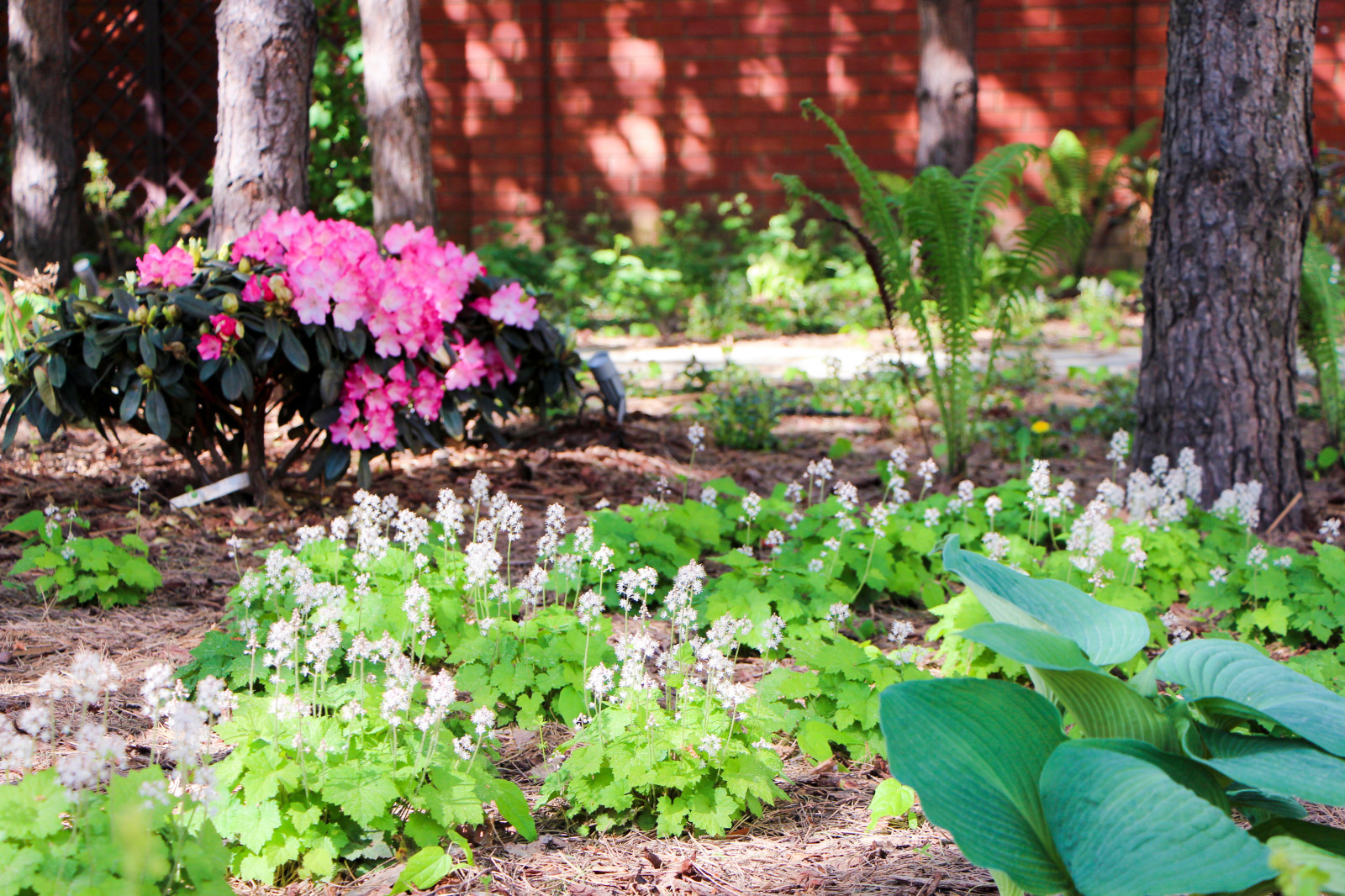 Долгопрудный, 2020 г.