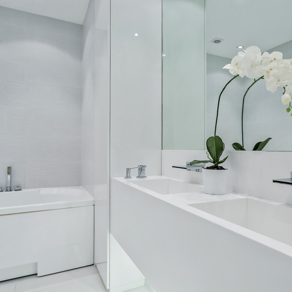 Проект в белом