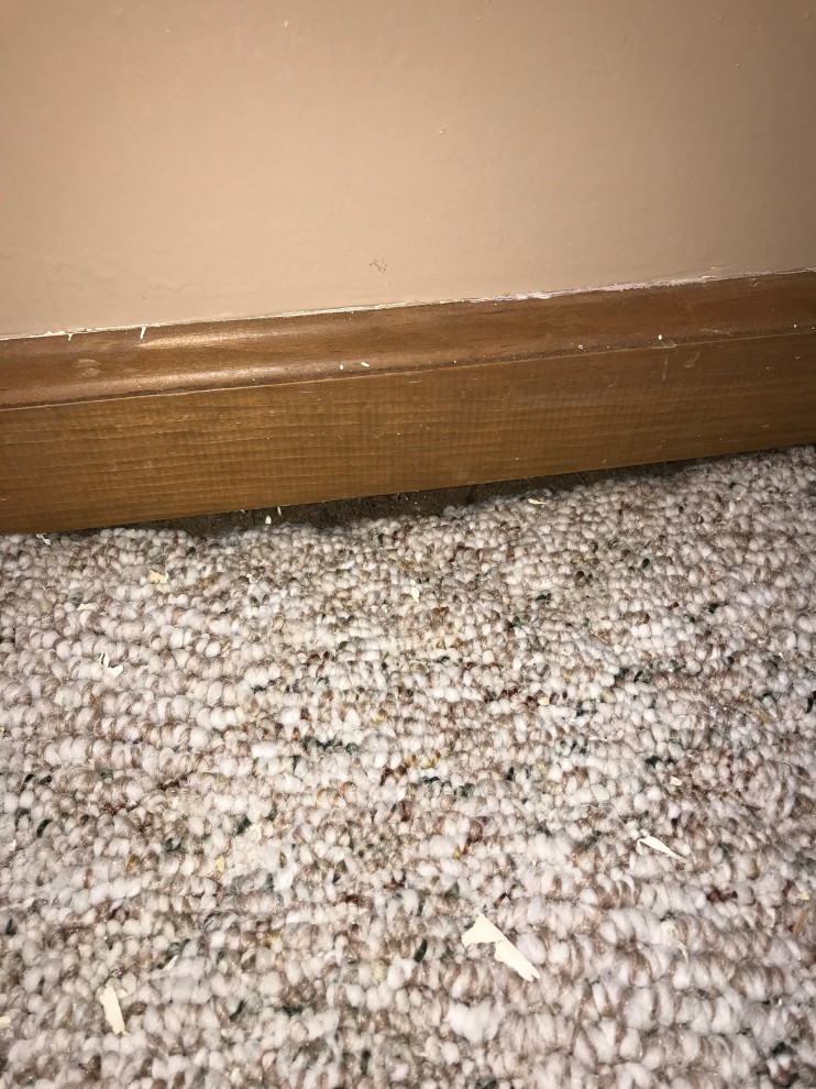 How can I fix this loose carpet?