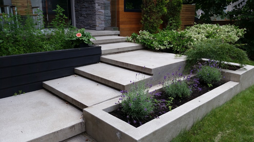 Photo of a mid-sized modern front yard verandah in Toronto with a container garden and stamped concrete.
