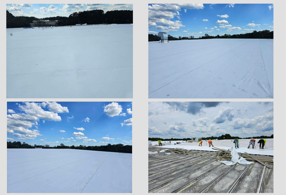 TPO Roofs