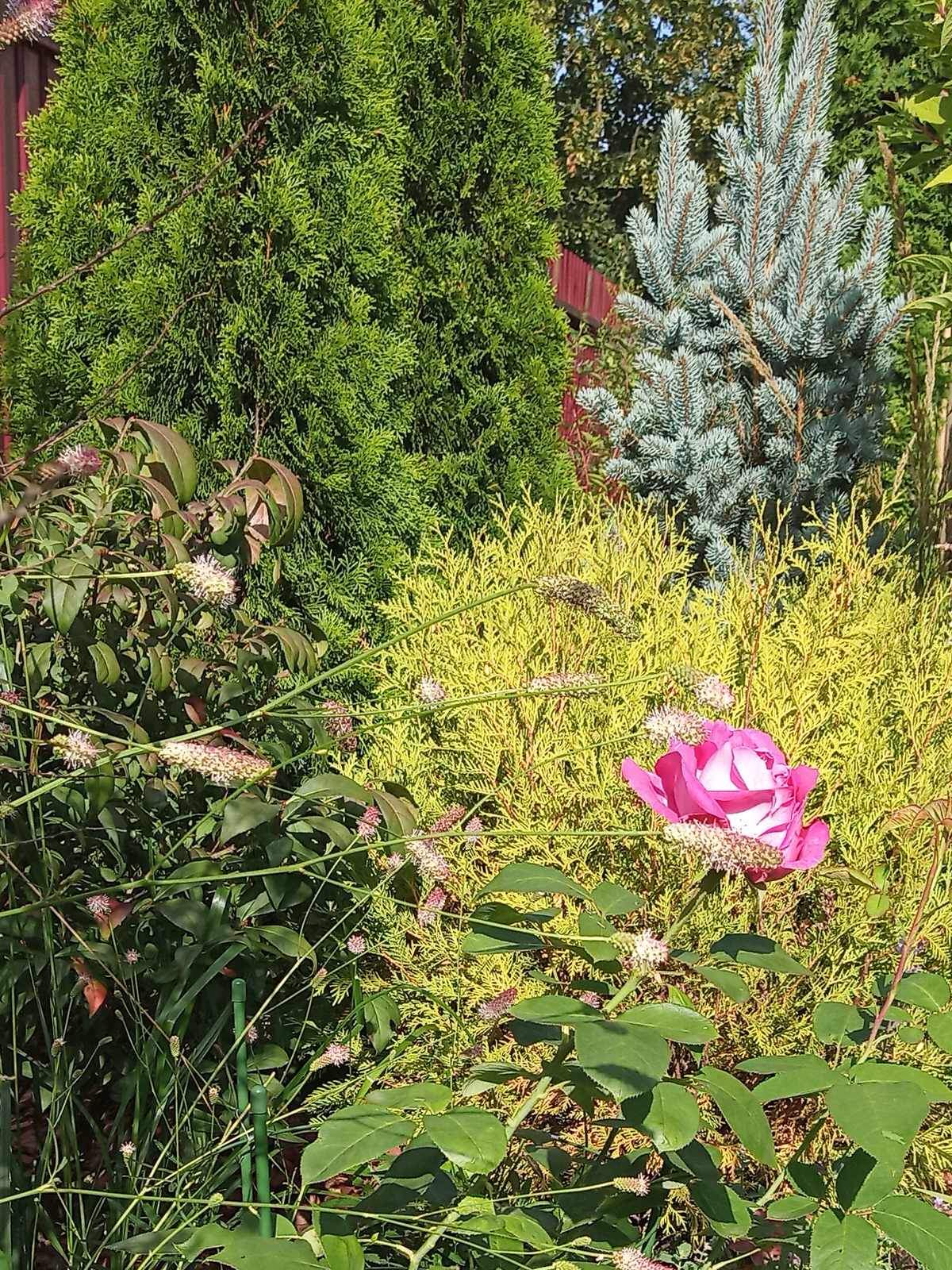 Патио в английском стиле