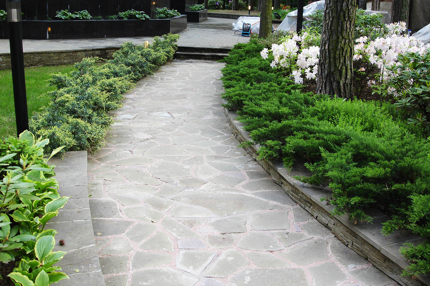 Сад с водоемом в КП " Сосновый Бор"