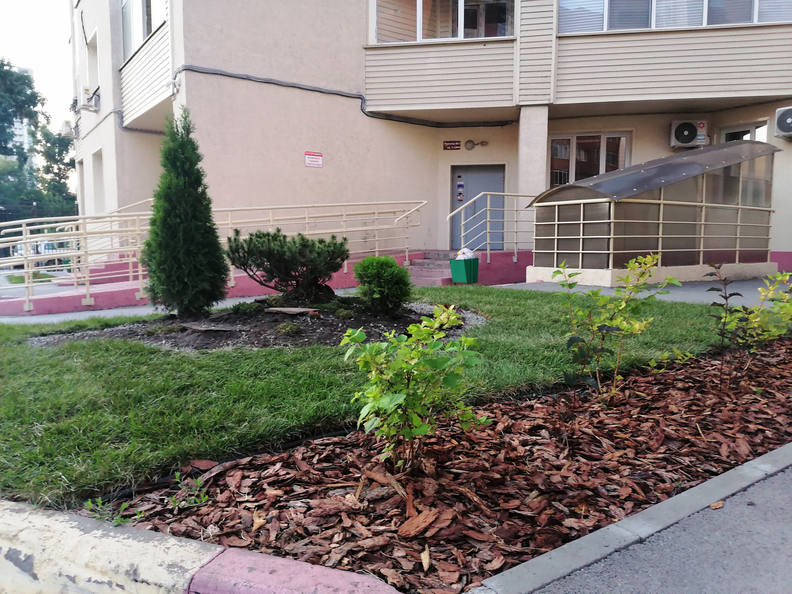 Озеленение территории двора, Центральный район