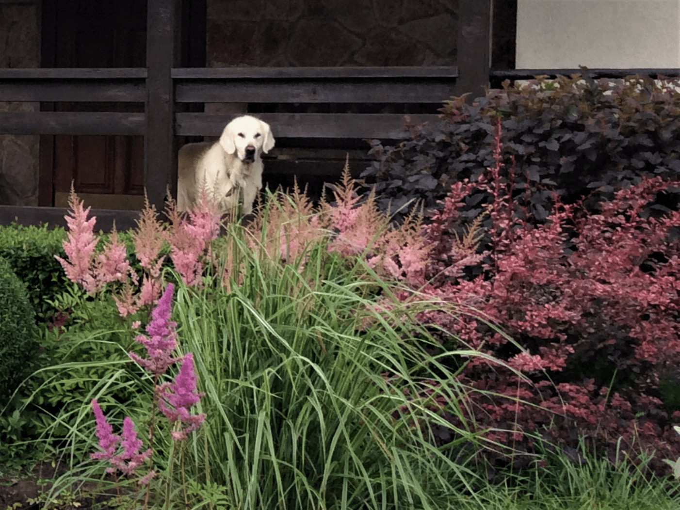 ЖИТЬ СВОБОДНО