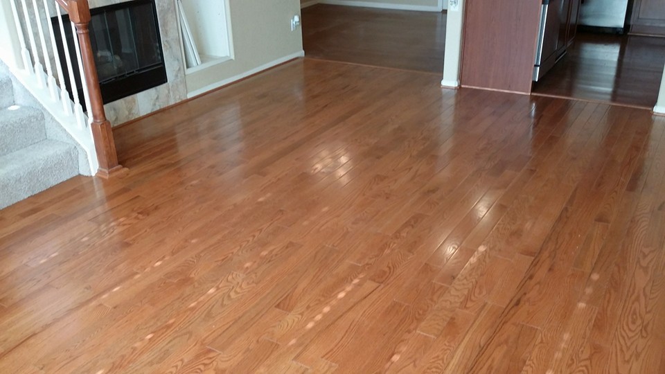 Entryway - transitional entryway idea in Denver
