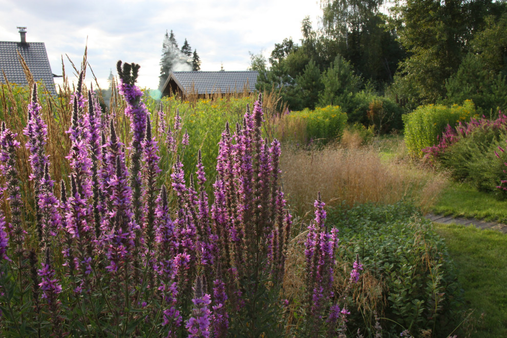Сад "Три плюс два"