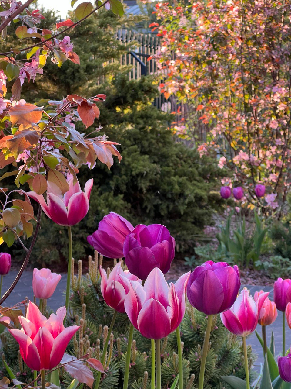 Английская история