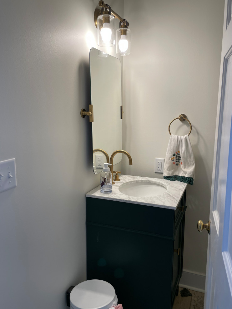 CHARLOTTESVILLE FULL HOUSE REMODEL