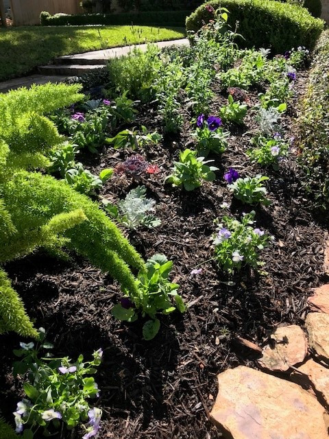 Front Walkway
