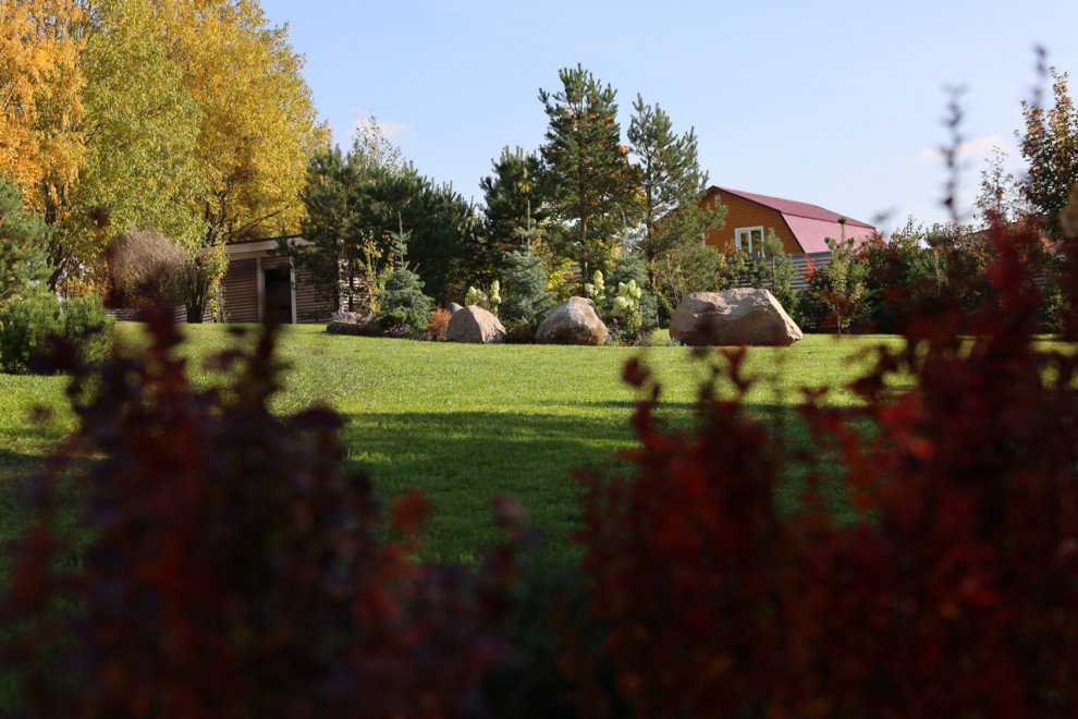 Сад для черной кошки и белого кота