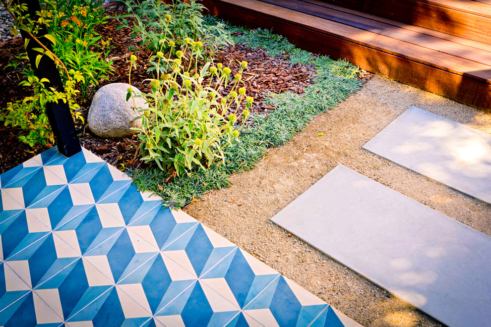 Inspiration for a mid-sized contemporary backyard xeriscape in Los Angeles with a garden path and concrete pavers.