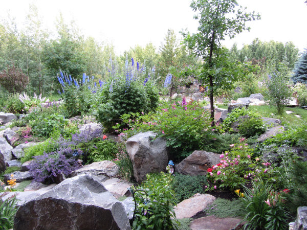 Outdoor Oasis Landscape Design
