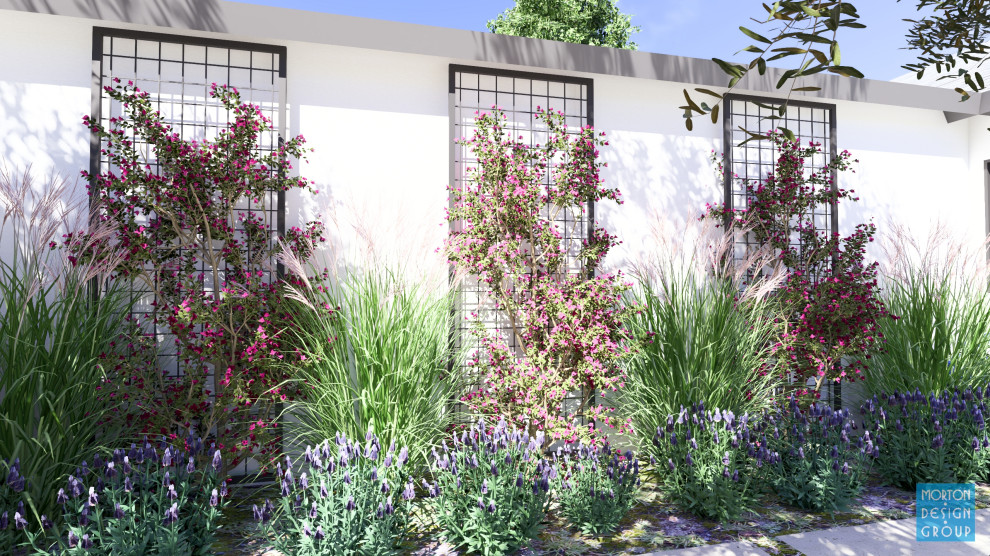 Szenderski Project - San Juan Capistrano, CA.