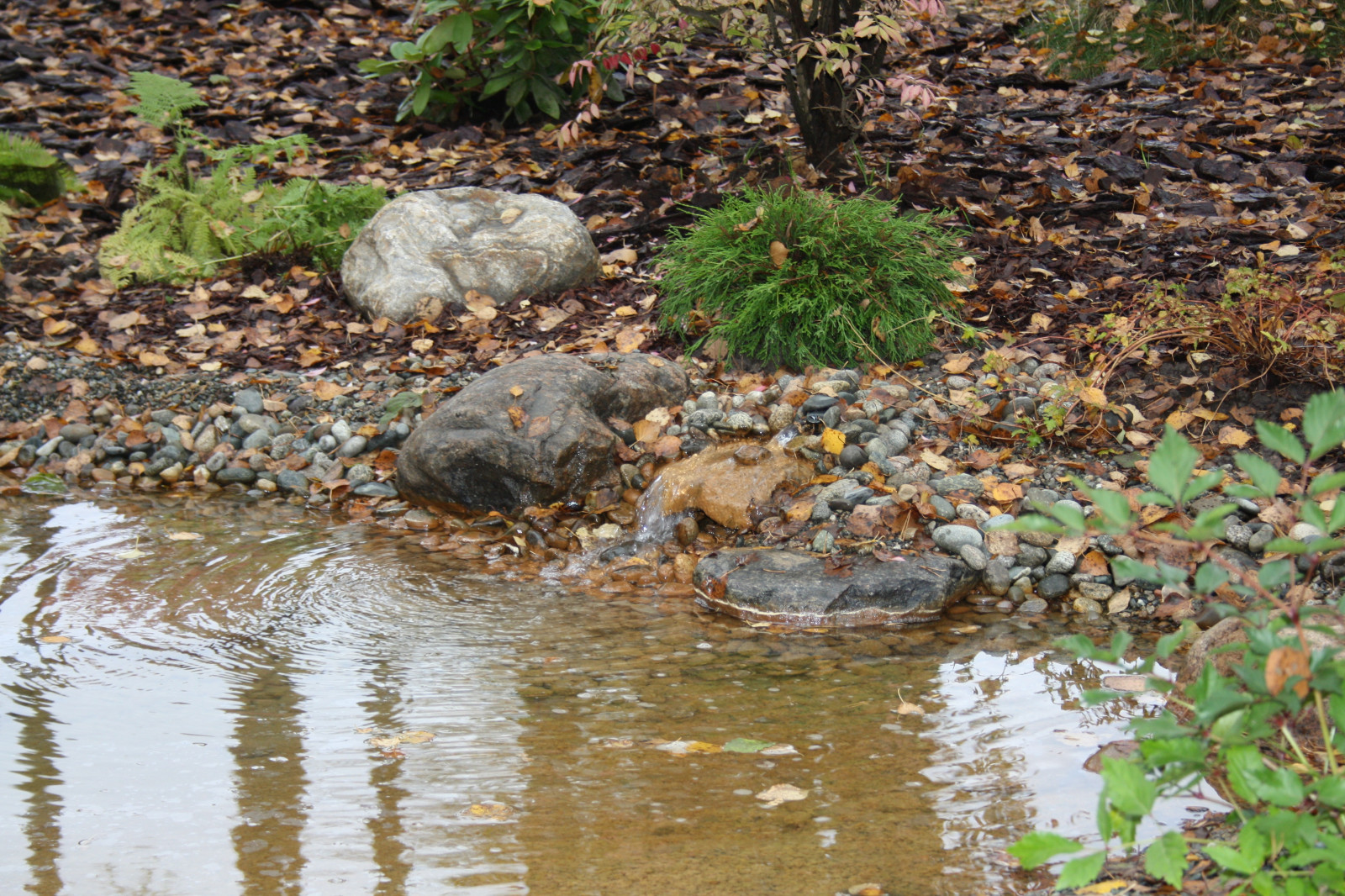 Новое Токсово 2