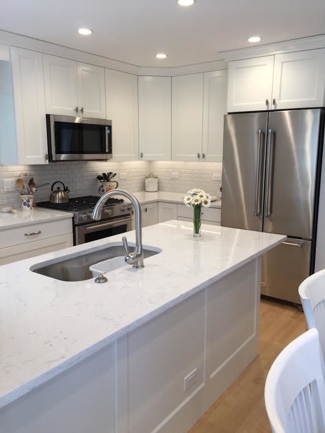 Kitchen - transitional kitchen idea in Chicago