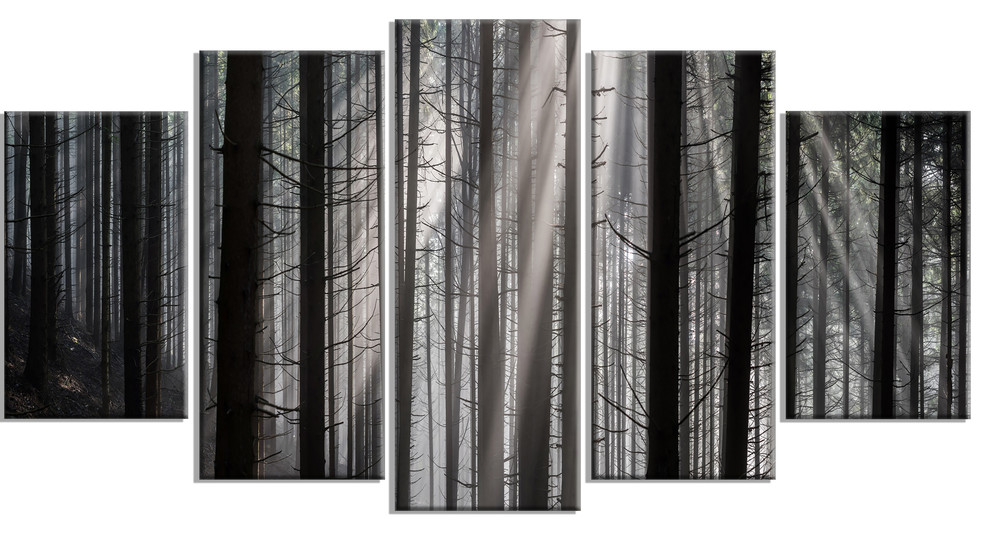 "Sunbeams Peeking Through Dark Forest" Metal Wall Art, 60"x32" 5 Panel