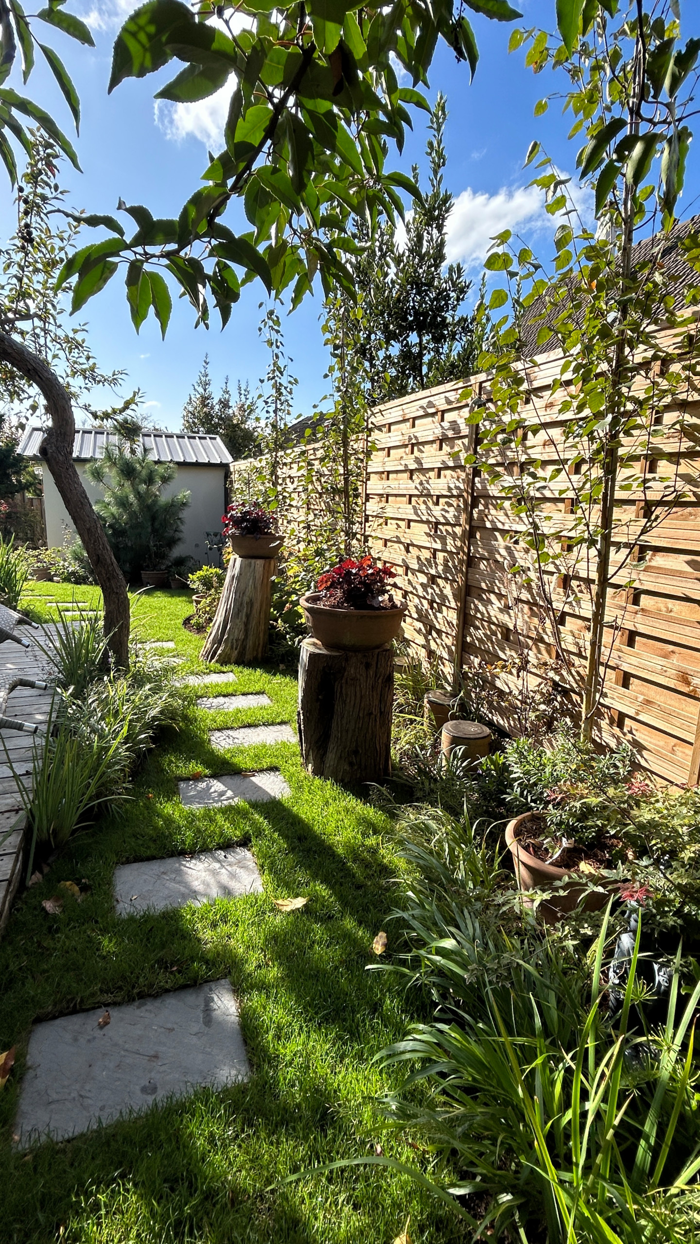 Jardin en Pots : Un Écrin de Nature