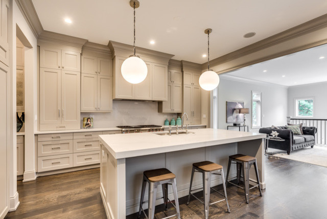 Inspiration for a transitional kitchen remodel in Chicago