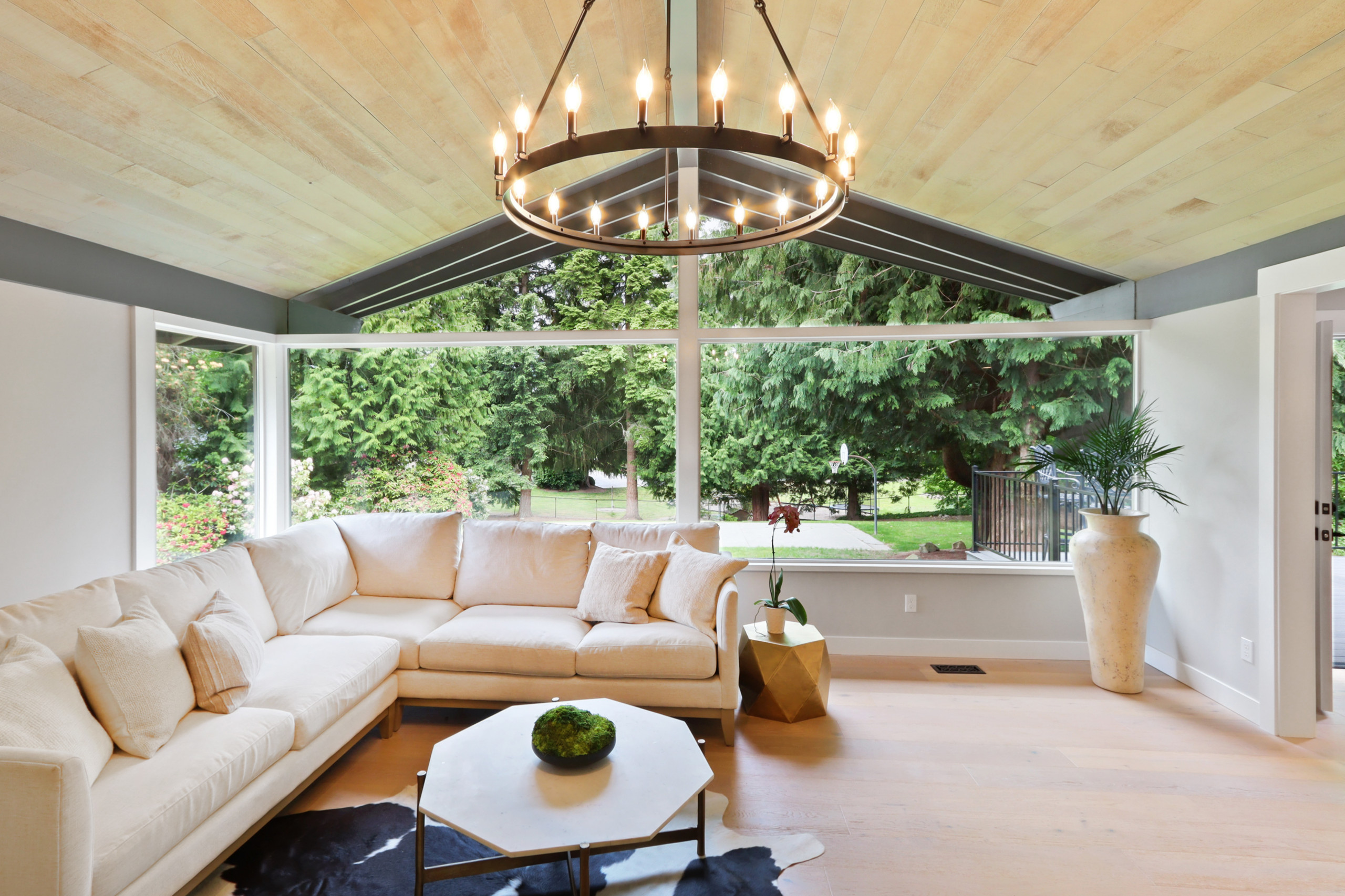 modern living room looking onto a wooded back yard