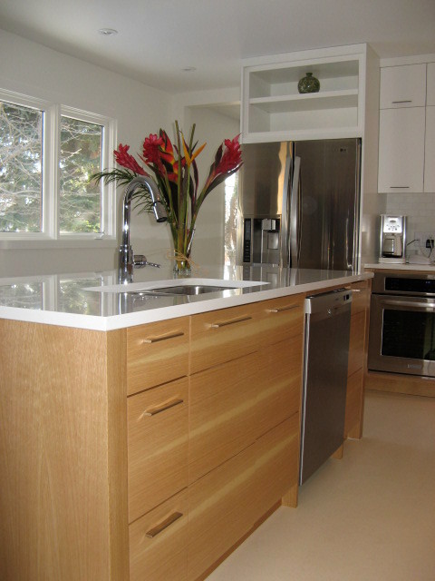 Modern Kitchens modern-kitchen
