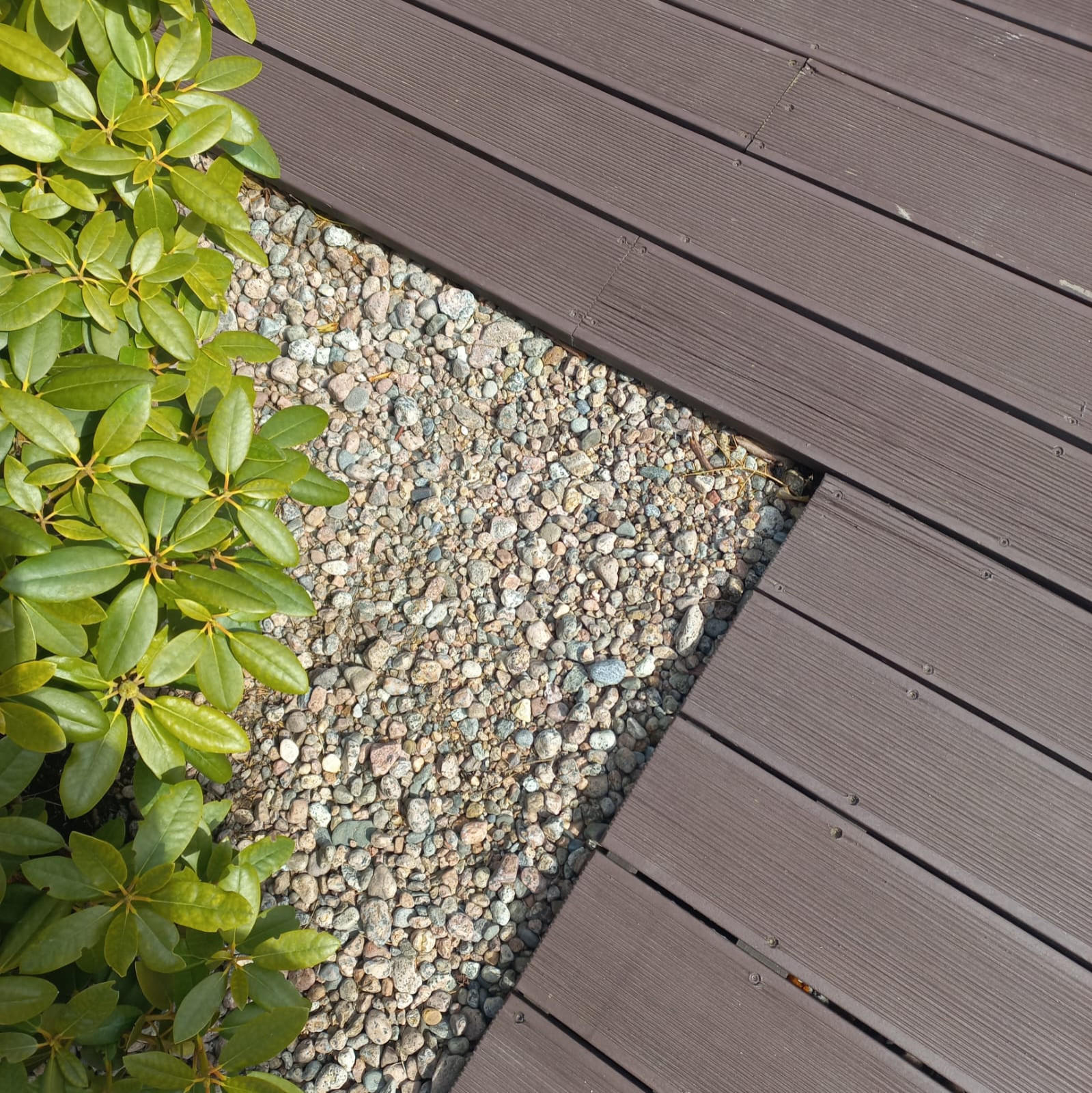 Балтийская Ривьера