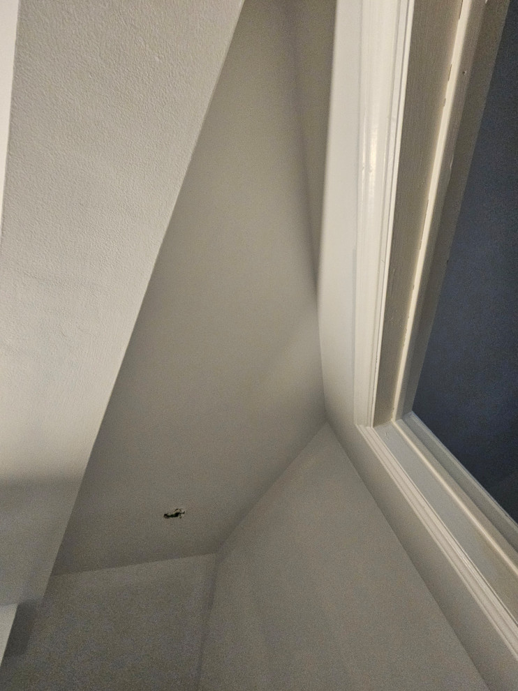 Drywall Ceilings & Interior basement painting. (Guelph)