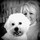 carolyn_boyd_theobald