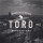 Toro Renovations Ltd
