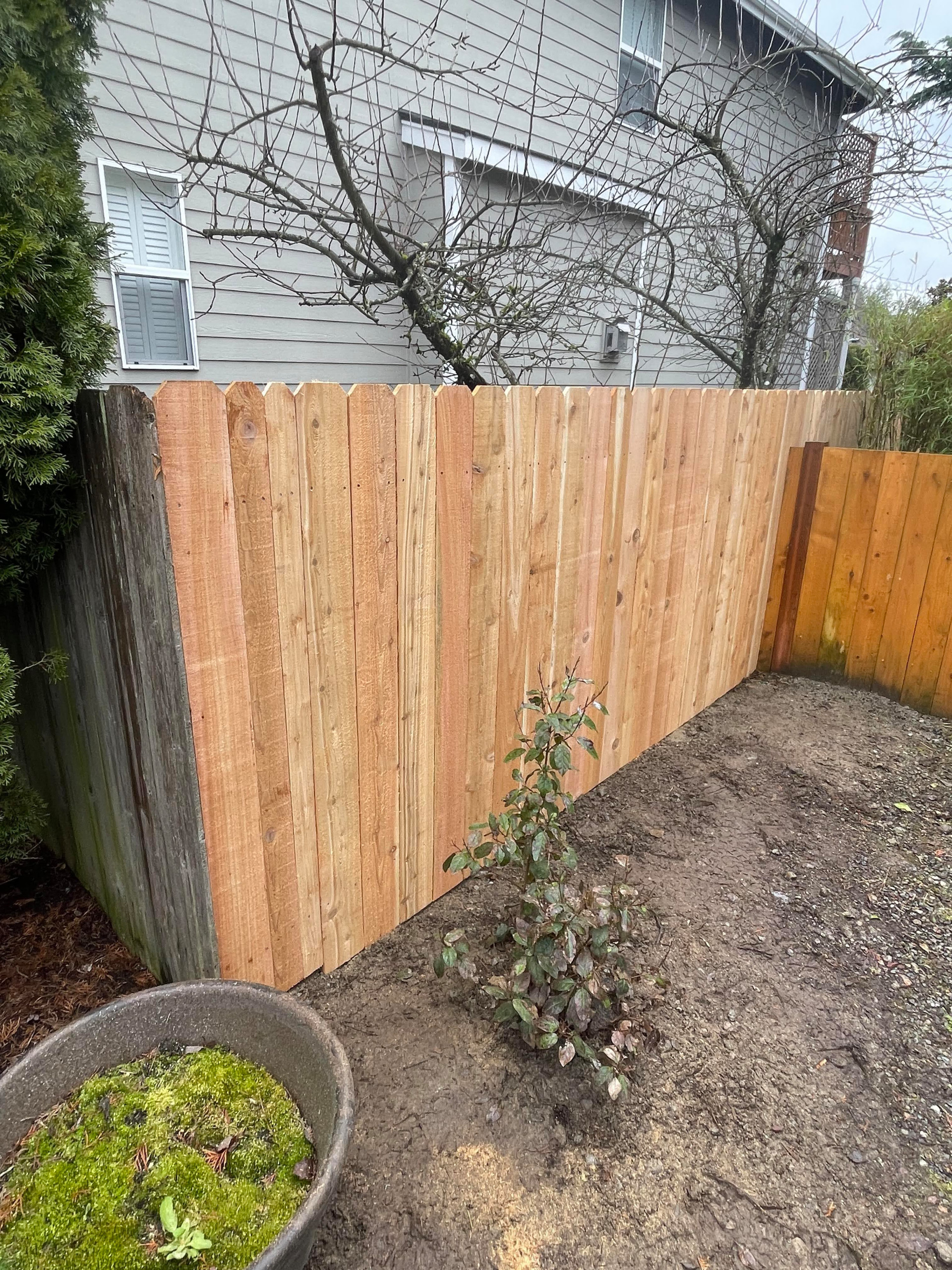 Fence Replacement
