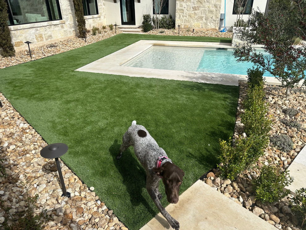 Mid-sized backyard rectangular infinity pool landscaping photo