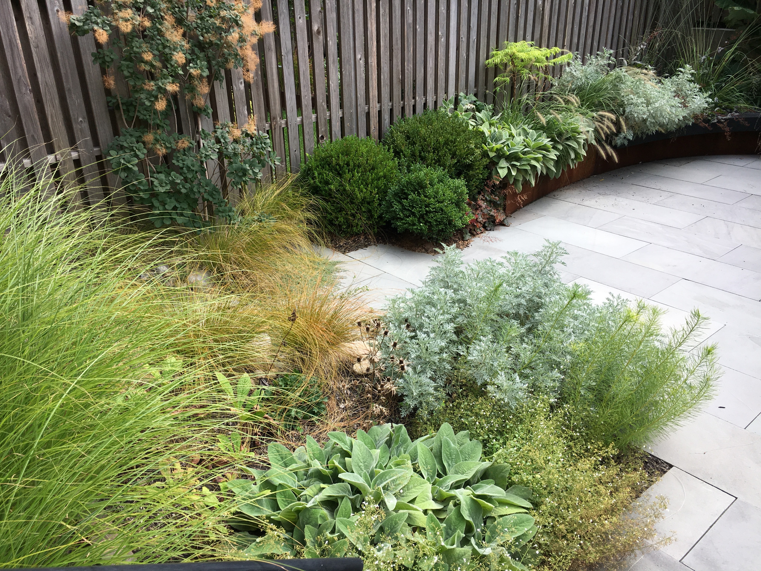 Modern Garden with Curved Corten Border