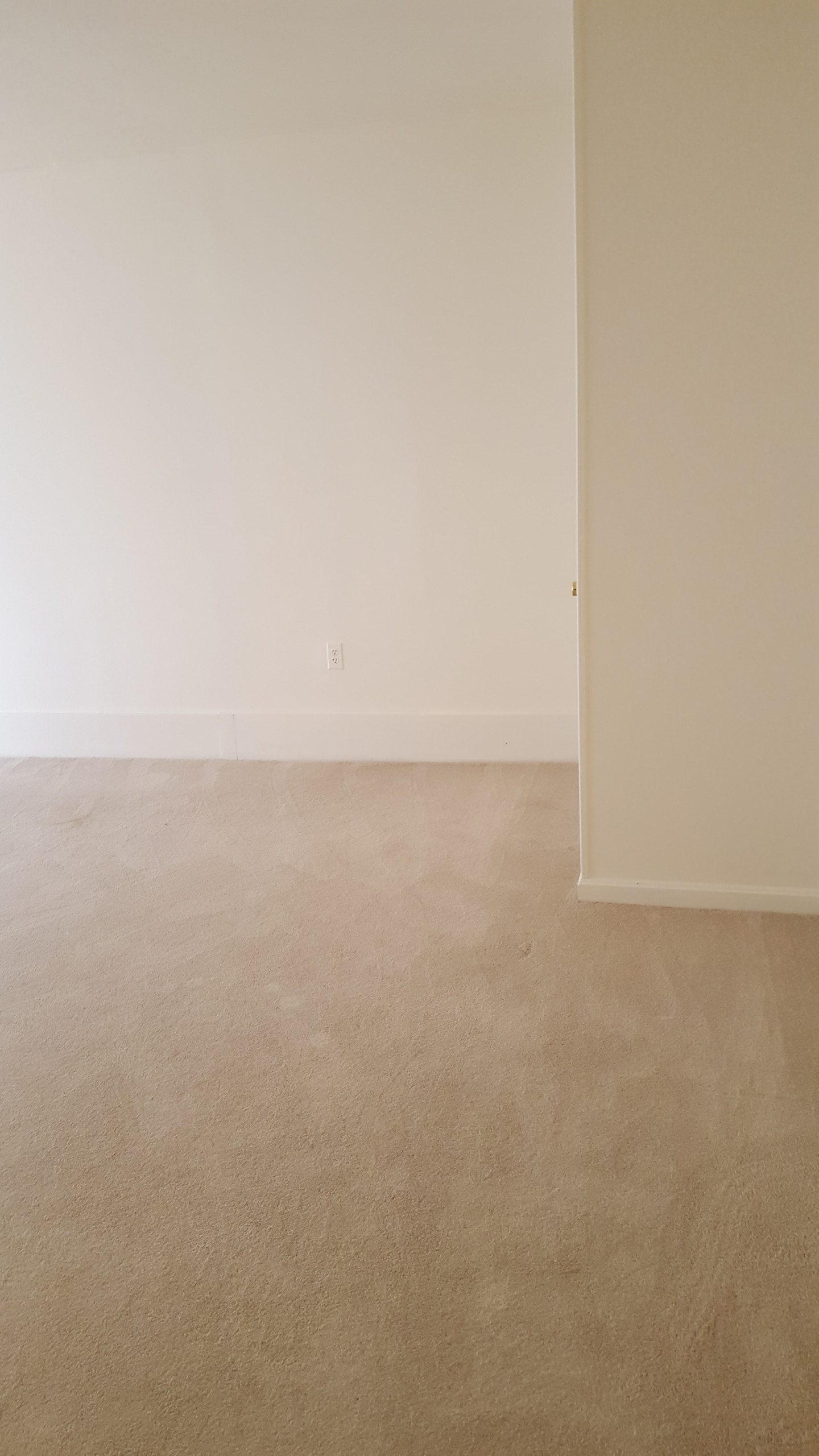 Entire Home Update/Remodel