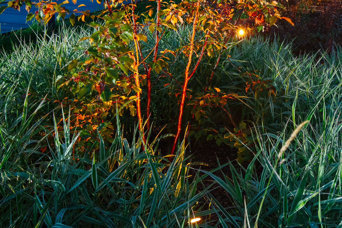 Времена года в саду "Красный октябрь"