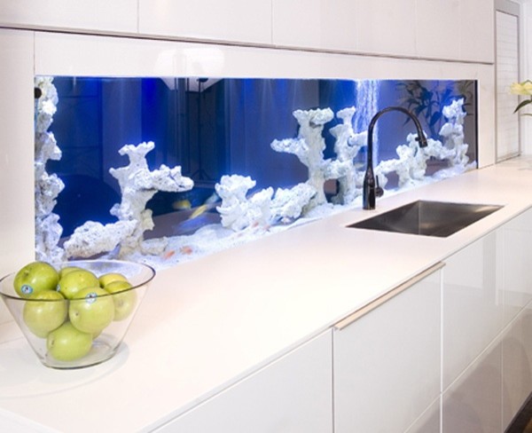 aquariums 