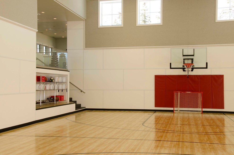 This is an example of a large country indoor sport court in Denver with white walls.