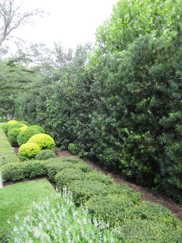 Design ideas for a traditional full sun backyard formal garden in Houston for summer.