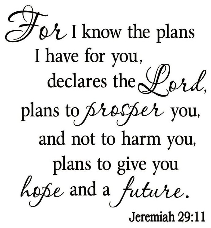 Details about / FOR I KNOW THE PLANS JEREMIAH 29:11 RELIGIOUS VINYL WALL DE...