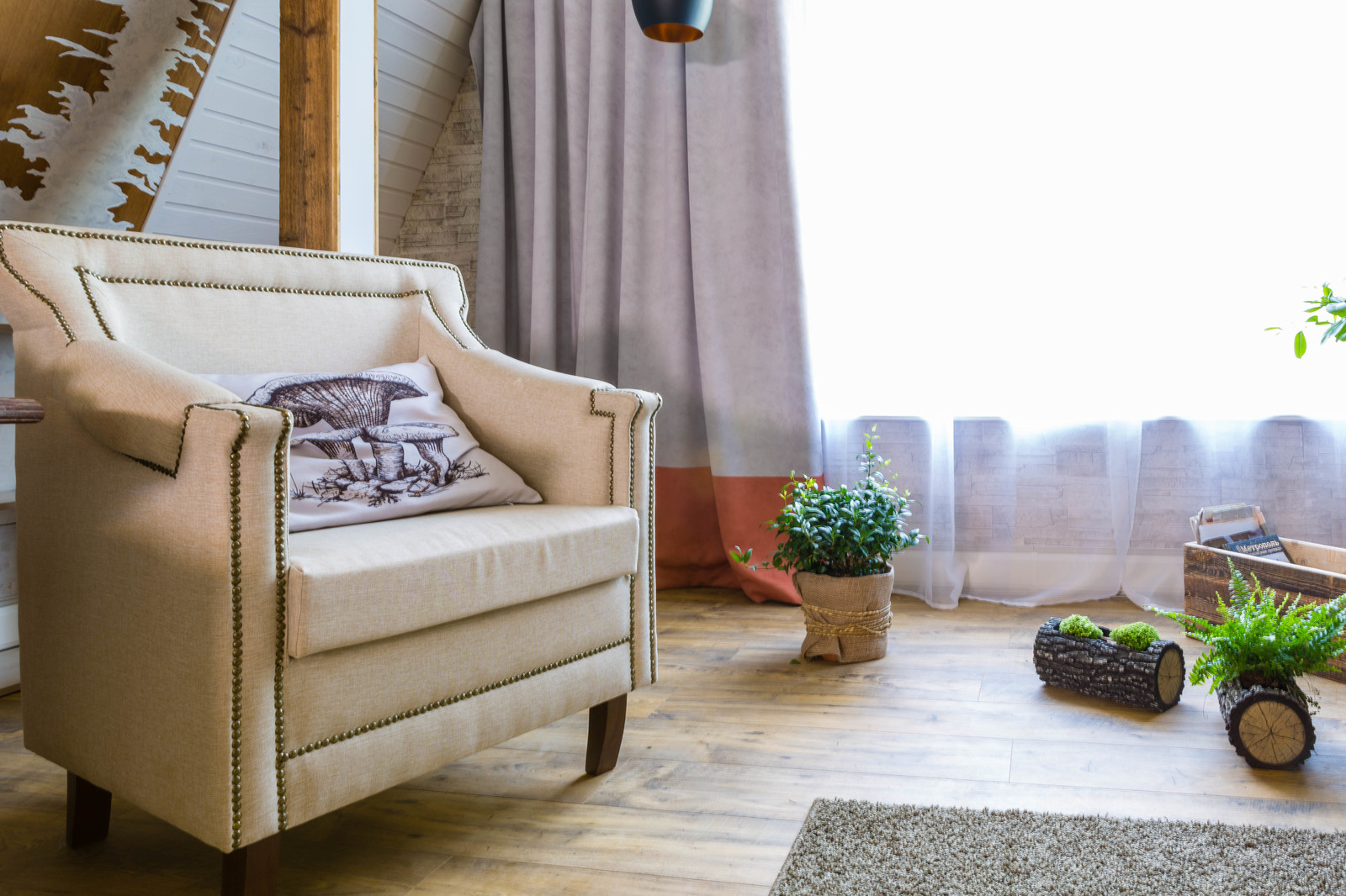 первый канал Фазенда "Лес"