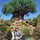 noreen_bomersbach