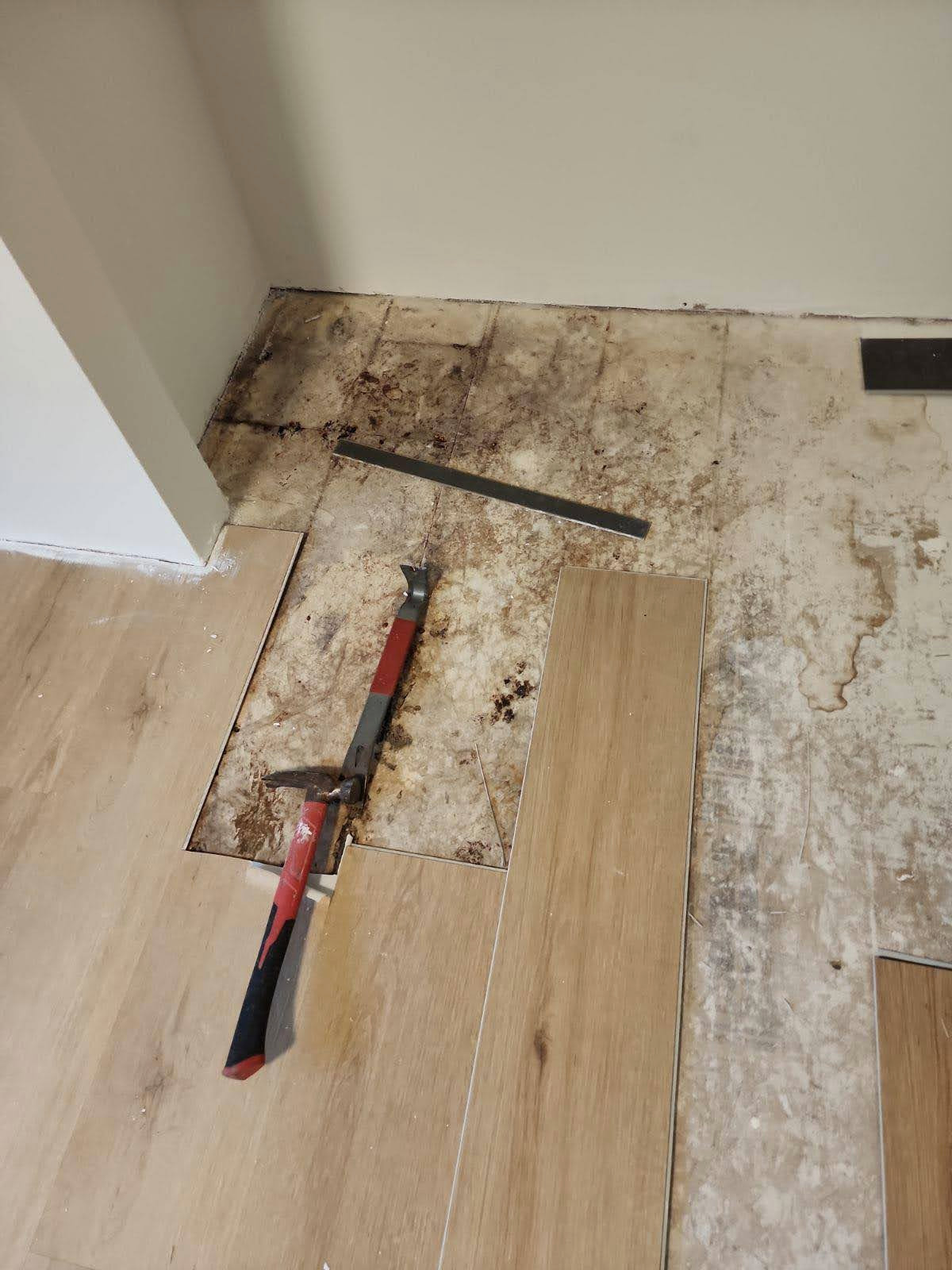 Mold Remediation & Flooring Installation