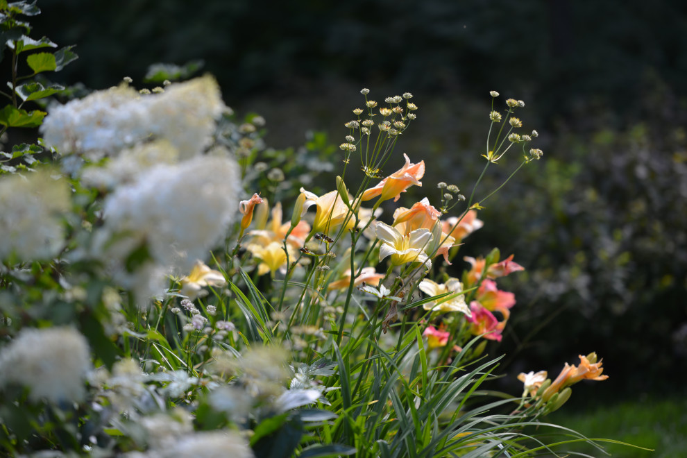 Проект "Волны".Пять лет спустя