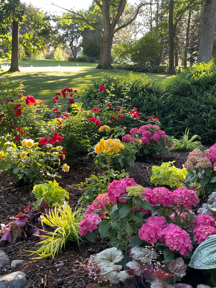 Design ideas for a transitional landscaping in Chicago.