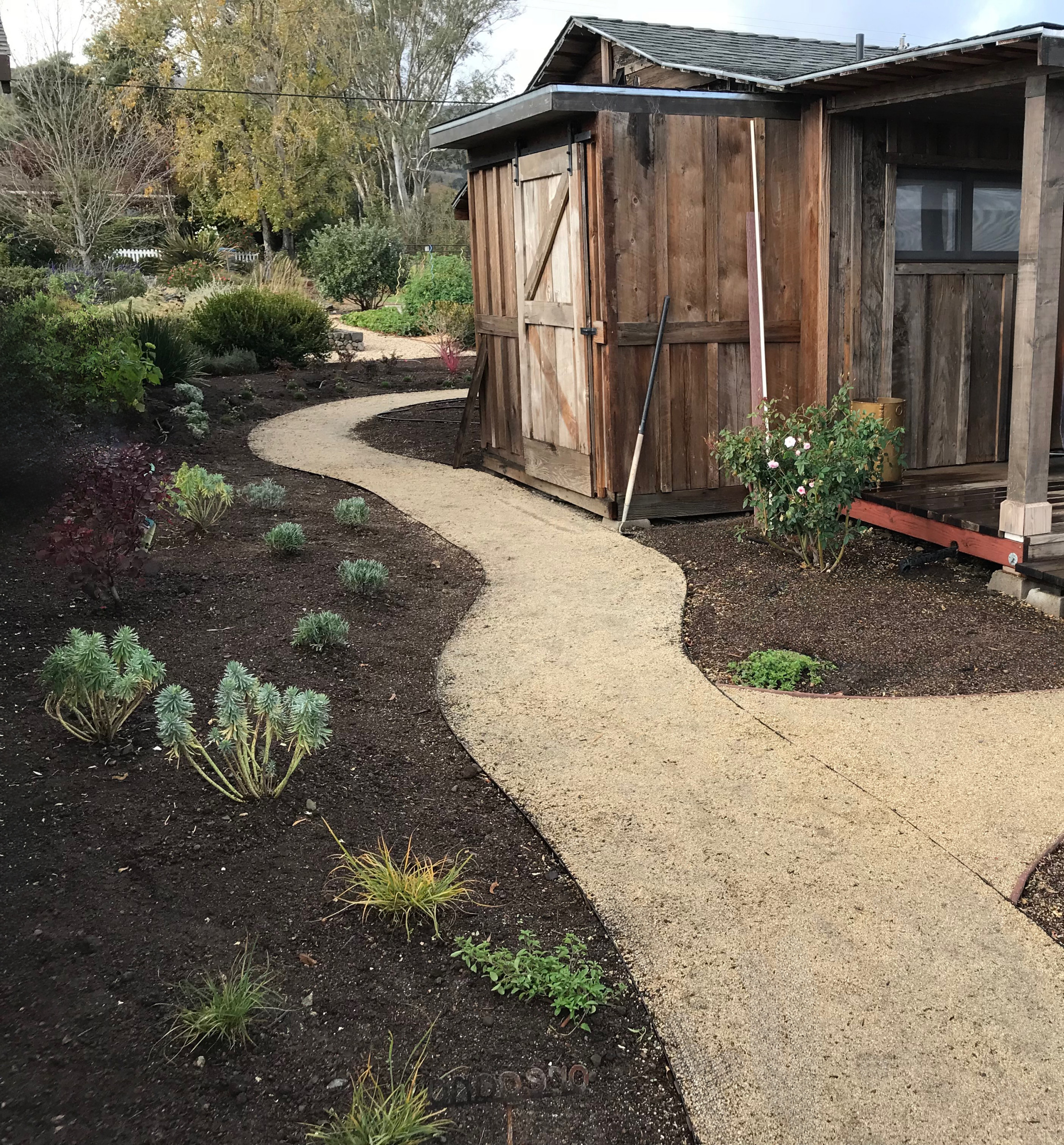Sonoma Guest House Approach