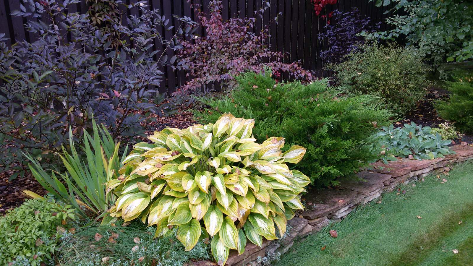 Солнечный акцент в осеннем саду